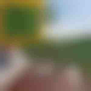 Mesterséges levelekkel ellátott magánélet védelmi panel | LEAFPANEL