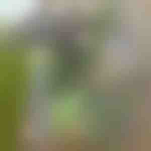 Kerti kapa a gyomok könnyű eltávolításához | GRASSOE