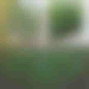 Dekoratív és praktikus kerítés teraszra és kertbe | GREENFENCE