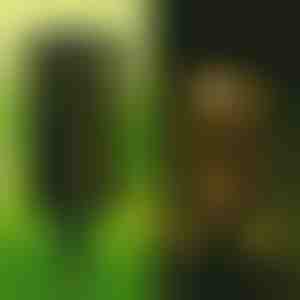 Dekoratív napelemes lámpa (2 db) | GARDENIAS