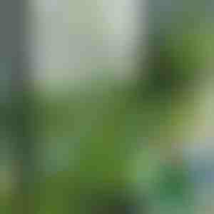 Mesterséges füves lapok dekoráció (5 db) | GRASSTILE