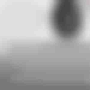 Gyorszáras gumijavító szegek | VULCOFIX