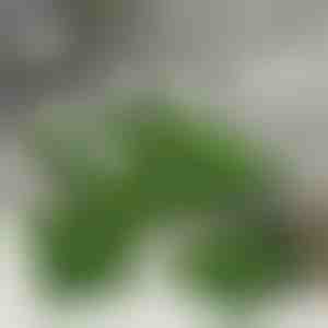 Mesterséges füves lapok dekoráció (5 db) | GRASSTILE